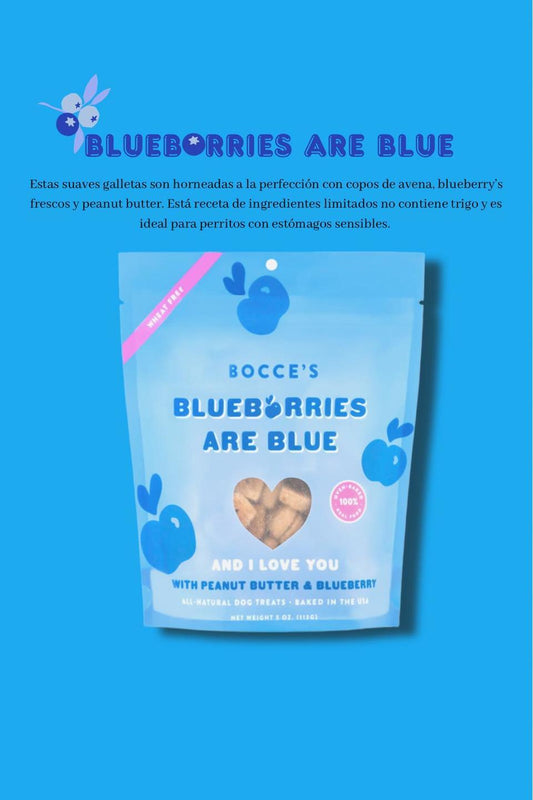 Blueberries Bocce’s Treats